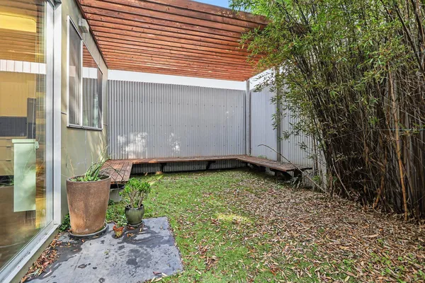 a view of backyard with potted plants