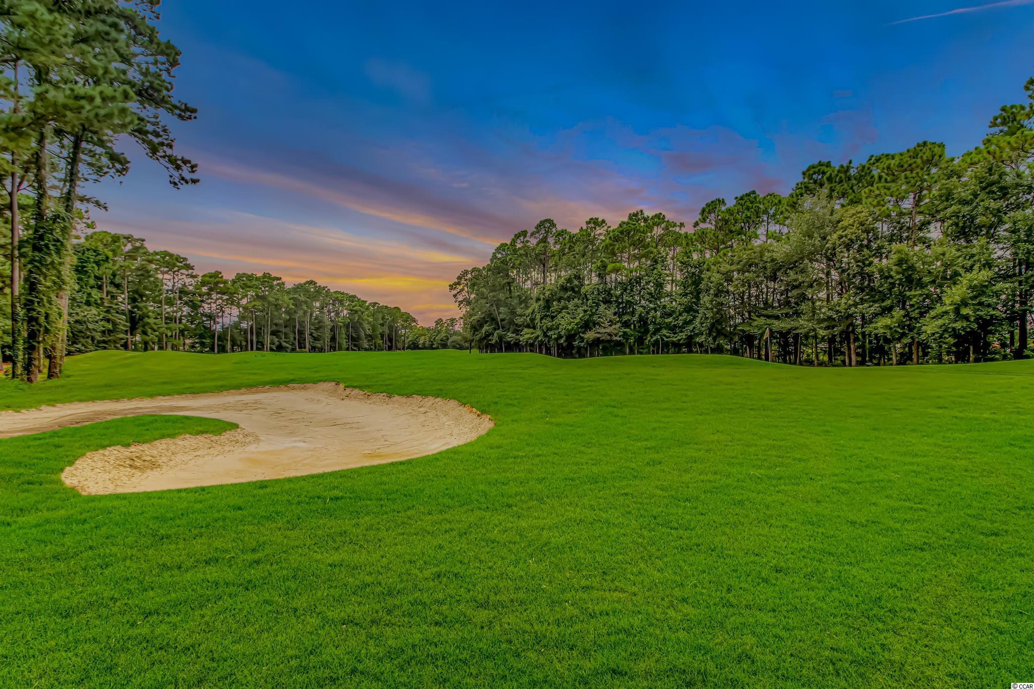 4492 Fringetree Drive Murrells Inlet, SC 29576 - Photo 29 of 40 Gallery Image 29
