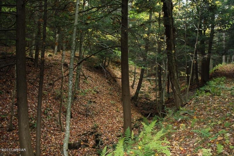 548 Tower Hill Road Tioga, PA 16946 - Photo 25 of 69 IMG_1560