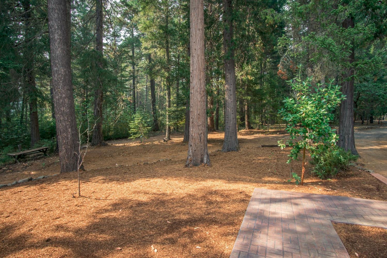 2023 Deer Creek Road Selma, OR 97538 - Photo 25 of 35 Additional Photo
