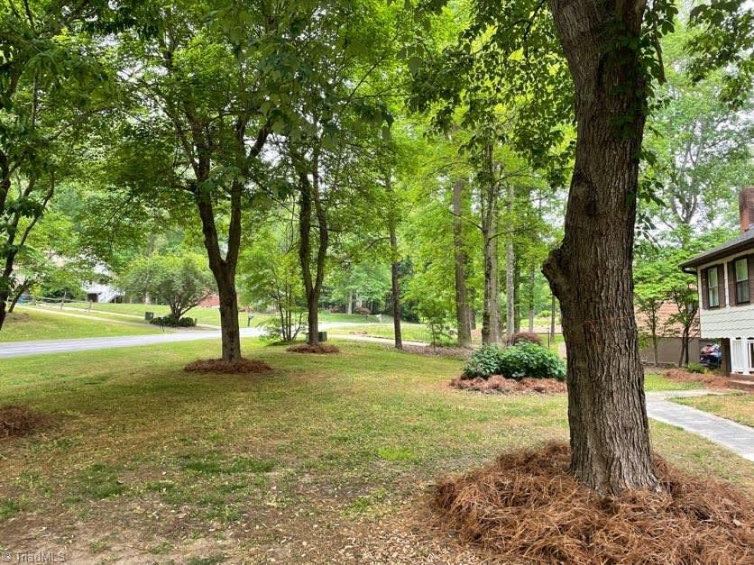 201 Pine Hill Drive Clemmons, NC 27012 - Photo 21 of 24