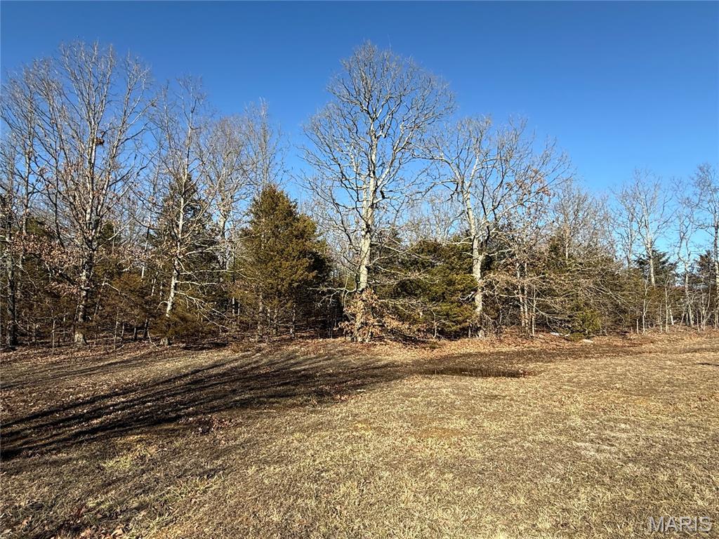 12037 State Highway 32 Roby, MO 65557 - Photo 16 of 27