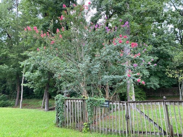 1210 Richview Road Tallahassee, FL 32301 - Photo 13 of 42 Gallery Image 13