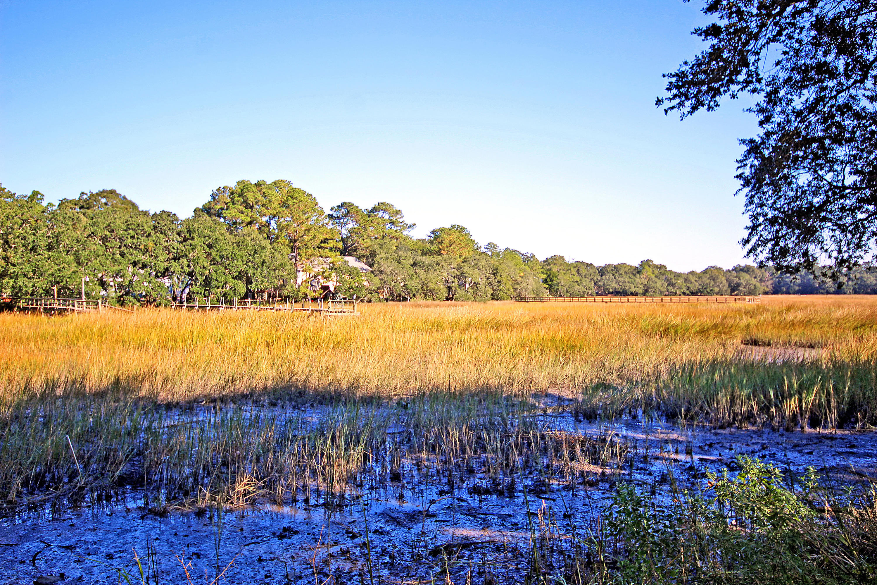 1402 Camp Road, Unit 11F Charleston, SC 29412 - Photo 2 of 21 IMG_6709 copy