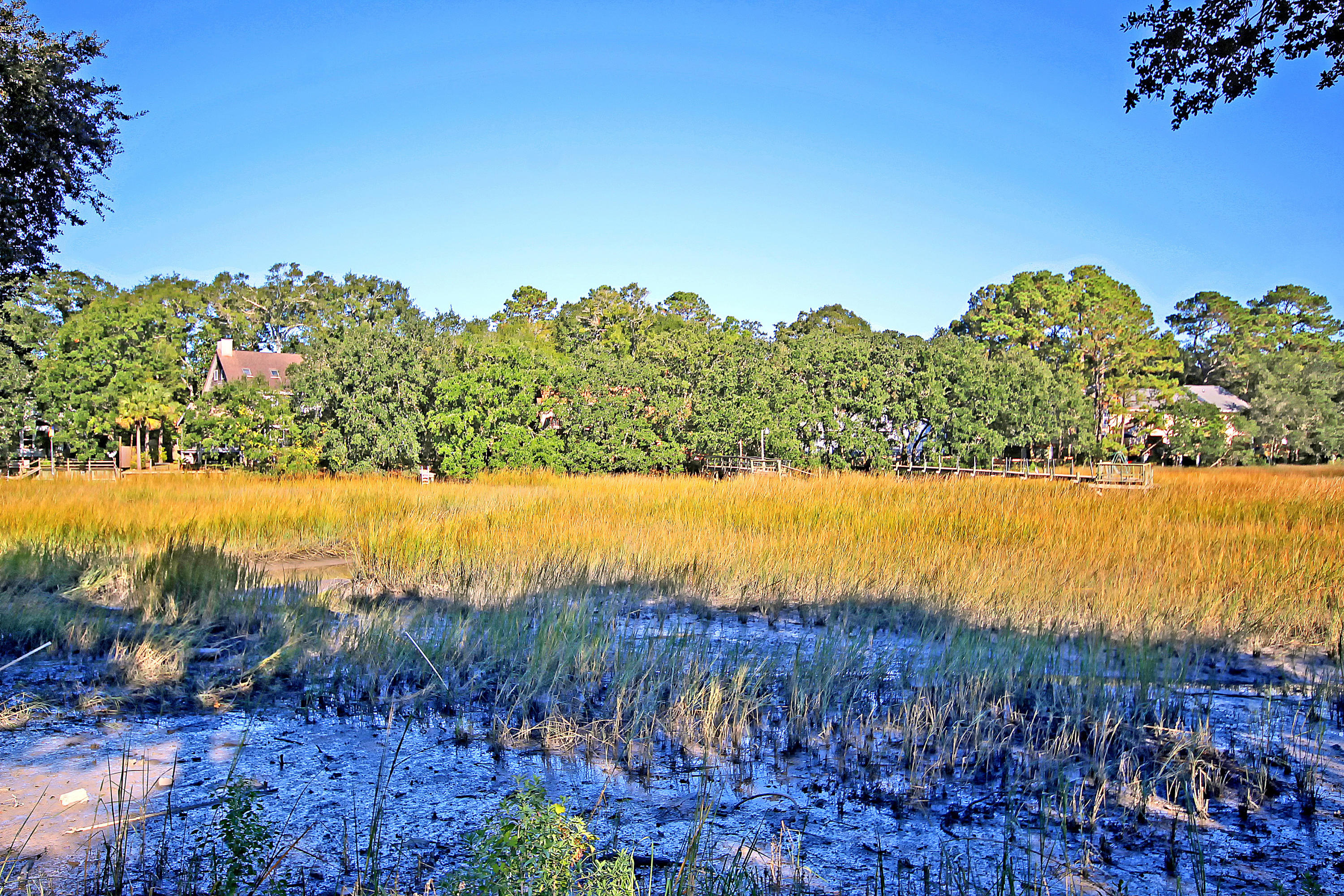 1402 Camp Road, Unit 11F Charleston, SC 29412 - Photo 3 of 21 IMG_6734 copy