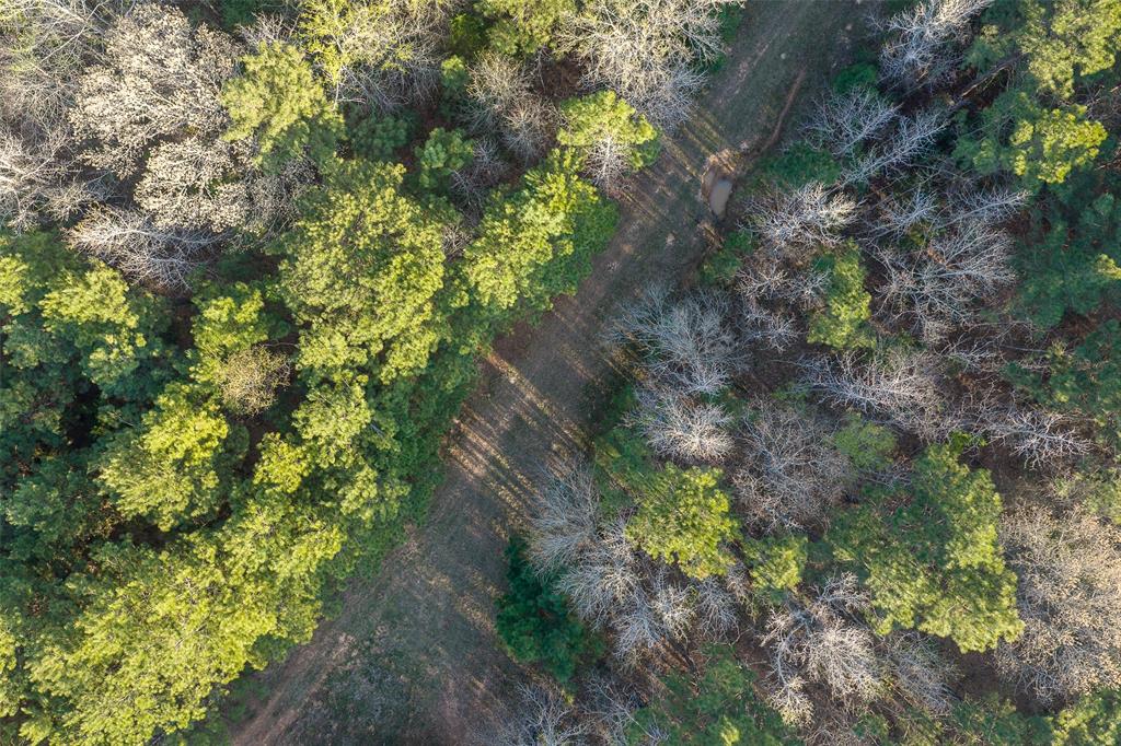 0 Off Of State Highway Rusk, TX 75785 - Photo 11 of 40