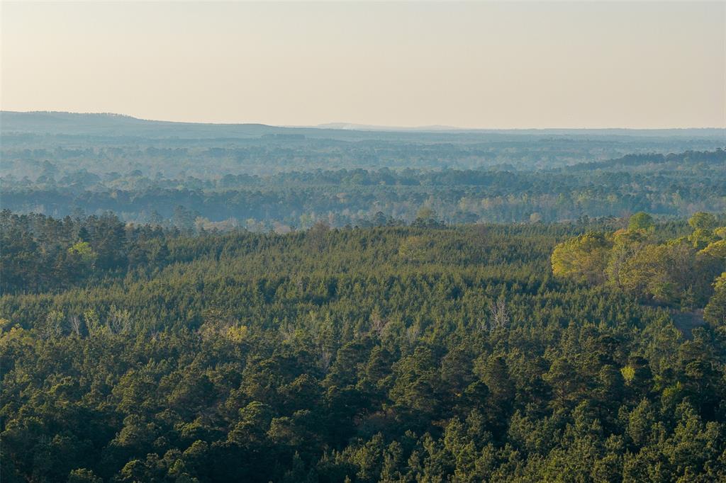 0 Off Of State Highway Rusk, TX 75785 - Photo 14 of 40