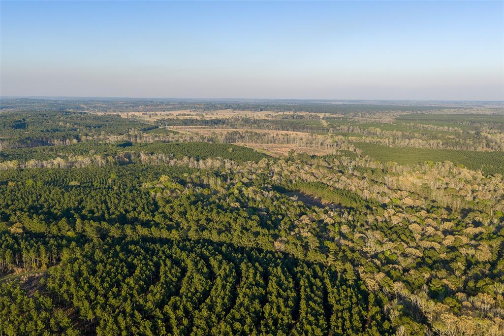 0 Off Of State Highway Rusk, TX 75785 - Photo 15 of 40