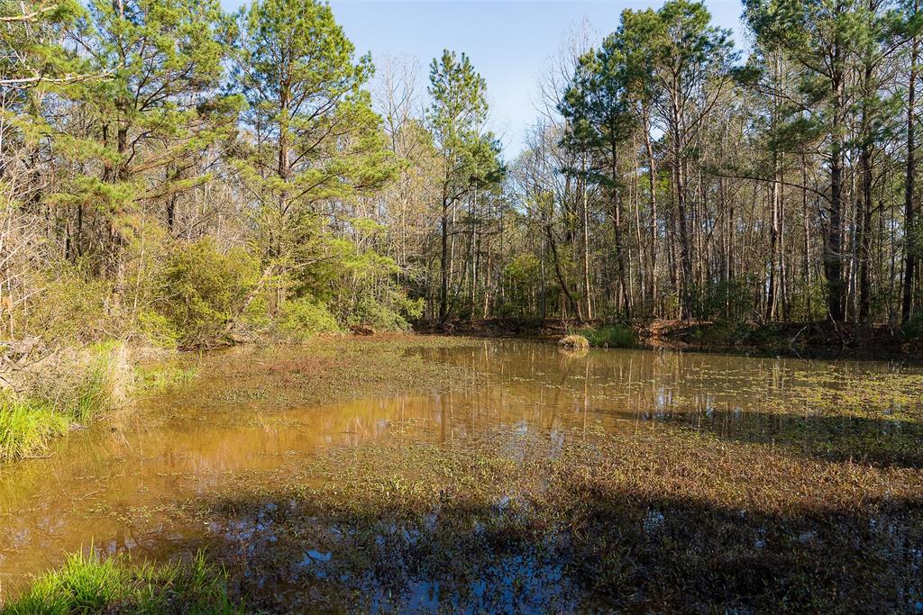 0 Off Of State Highway Rusk, TX 75785 - Photo 16 of 40