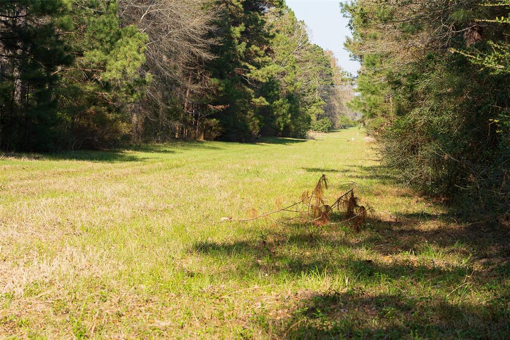 0 Off Of State Highway Rusk, TX 75785 - Photo 18 of 40