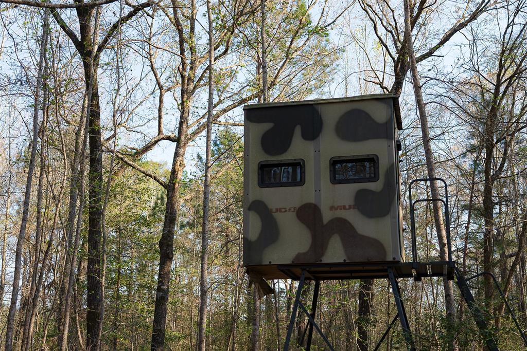 0 Off Of State Highway Rusk, TX 75785 - Photo 19 of 40