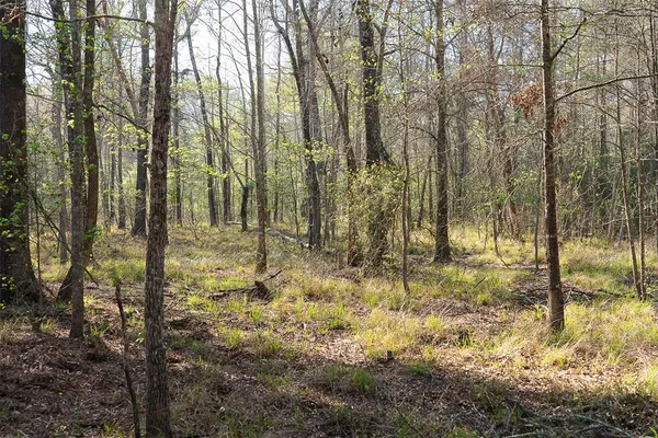 $429,000 | 0 Off Of State Highway, Rusk, TX 75785