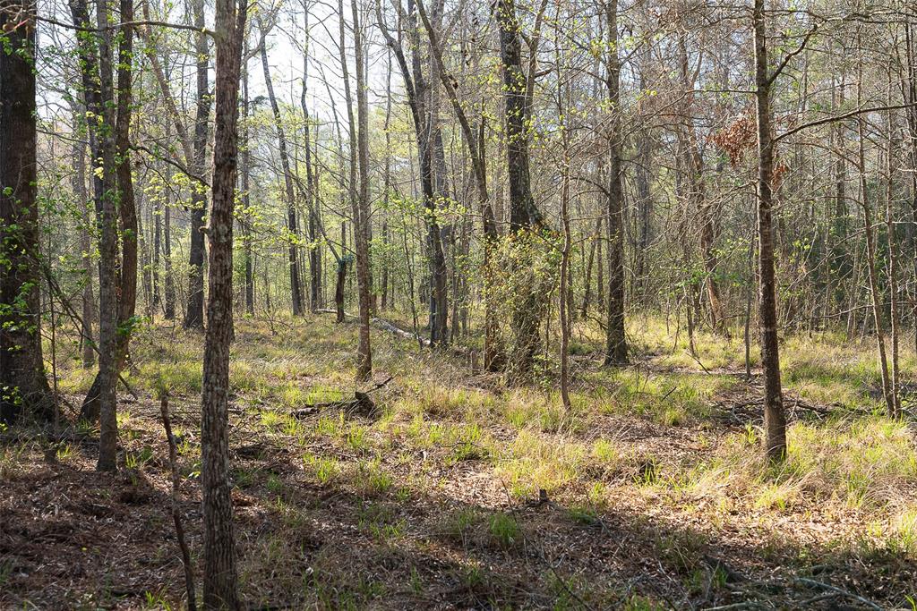 0 Off Of State Highway Rusk, TX 75785 - Photo 22 of 40