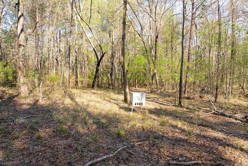 0 Off Of State Highway Rusk, TX 75785 - Photo 25 of 40