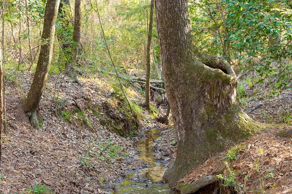 $429,000 | 0 Off Of State Highway, Rusk, TX 75785