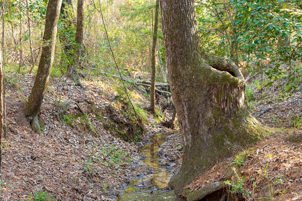 0 Off Of State Highway Rusk, TX 75785 - Photo 27 of 40