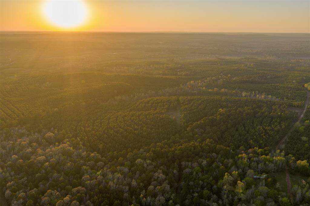 0 Off Of State Highway Rusk, TX 75785 - Photo 28 of 40