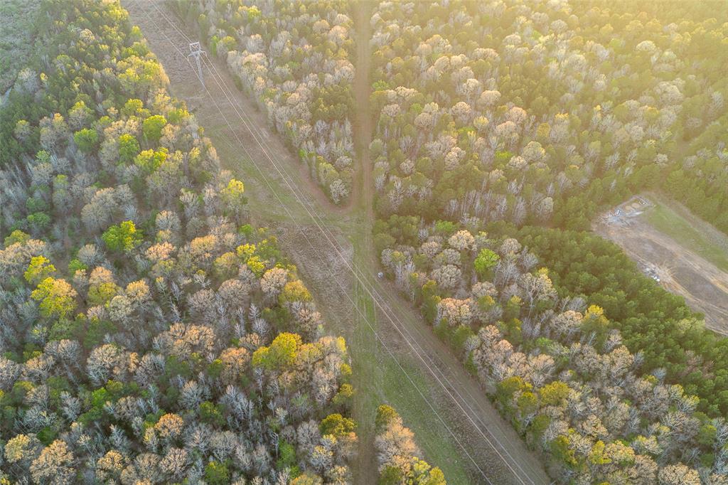 0 Off Of State Highway Rusk, TX 75785 - Photo 30 of 40