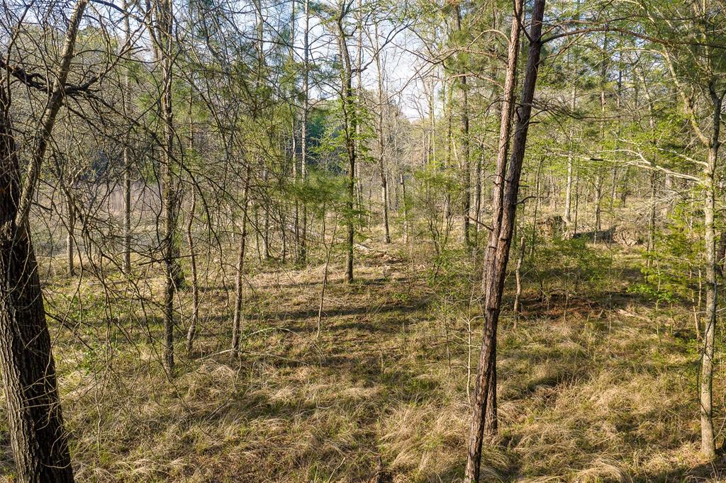 0 Off Of State Highway Rusk, TX 75785 - Photo 32 of 40