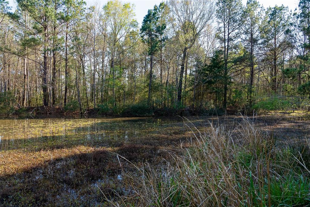 0 Off Of State Highway Rusk, TX 75785 - Photo 35 of 40