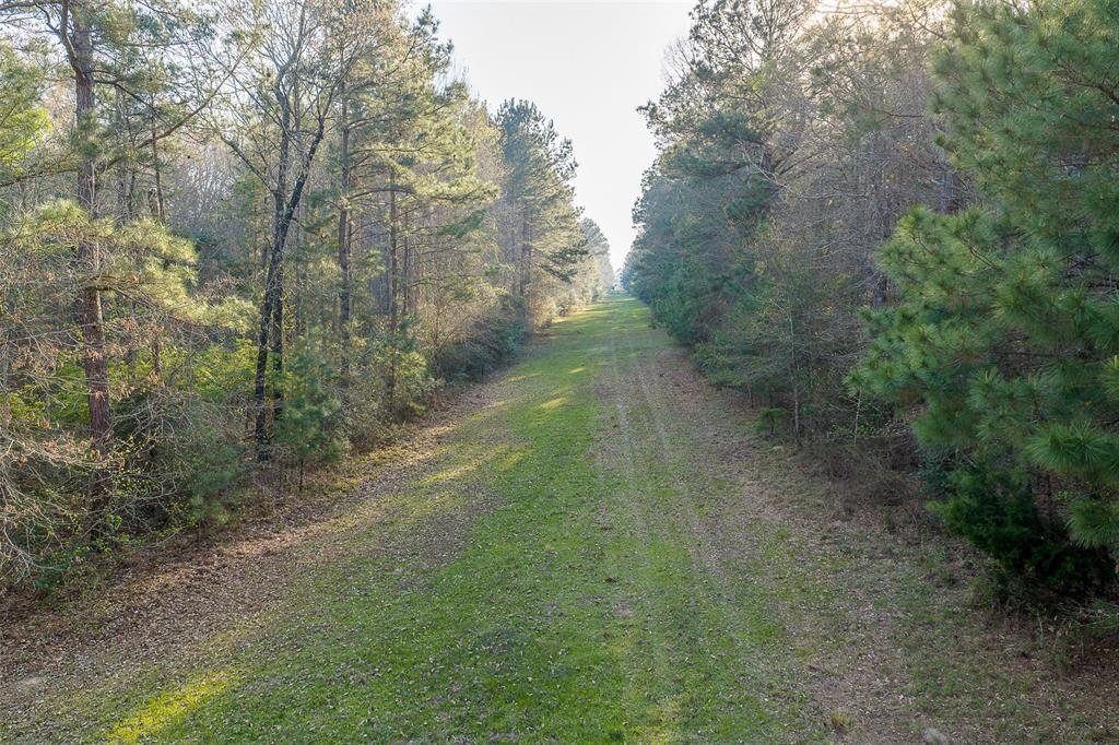 0 Off Of State Highway Rusk, TX 75785 - Photo 36 of 40