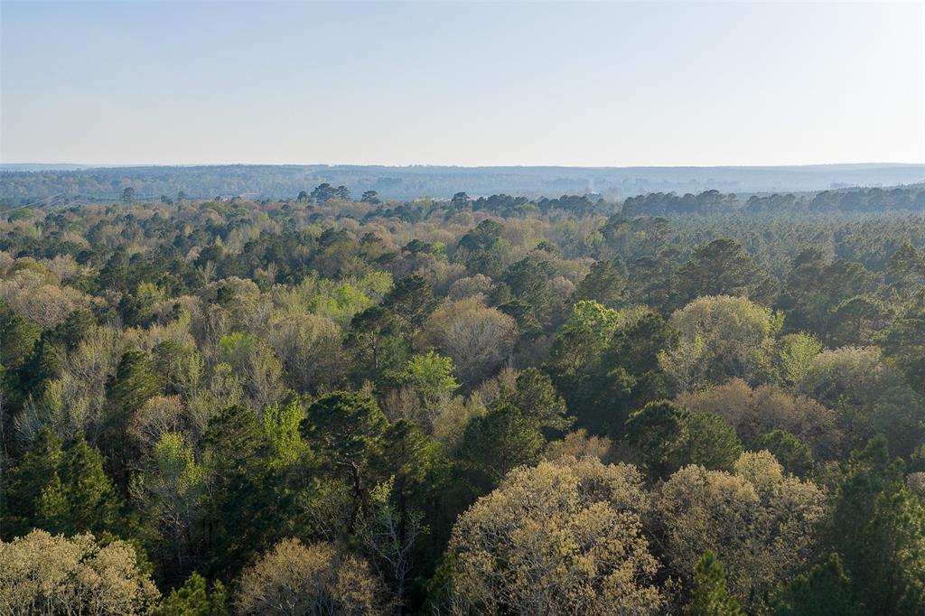 0 Off Of State Highway Rusk, TX 75785 - Photo 37 of 40