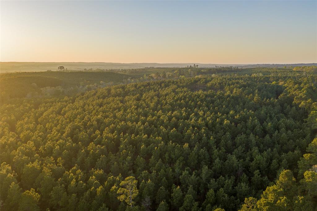 0 Off Of State Highway Rusk, TX 75785 - Photo 38 of 40