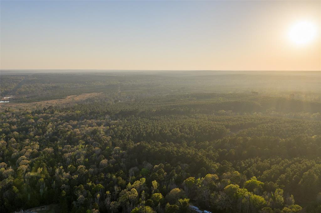 0 Off Of State Highway Rusk, TX 75785 - Photo 39 of 40