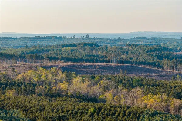 $429,000 | 0 Off Of State Highway, Rusk, TX 75785