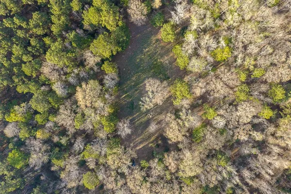 $429,000 | 0 Off Of State Highway, Rusk, TX 75785