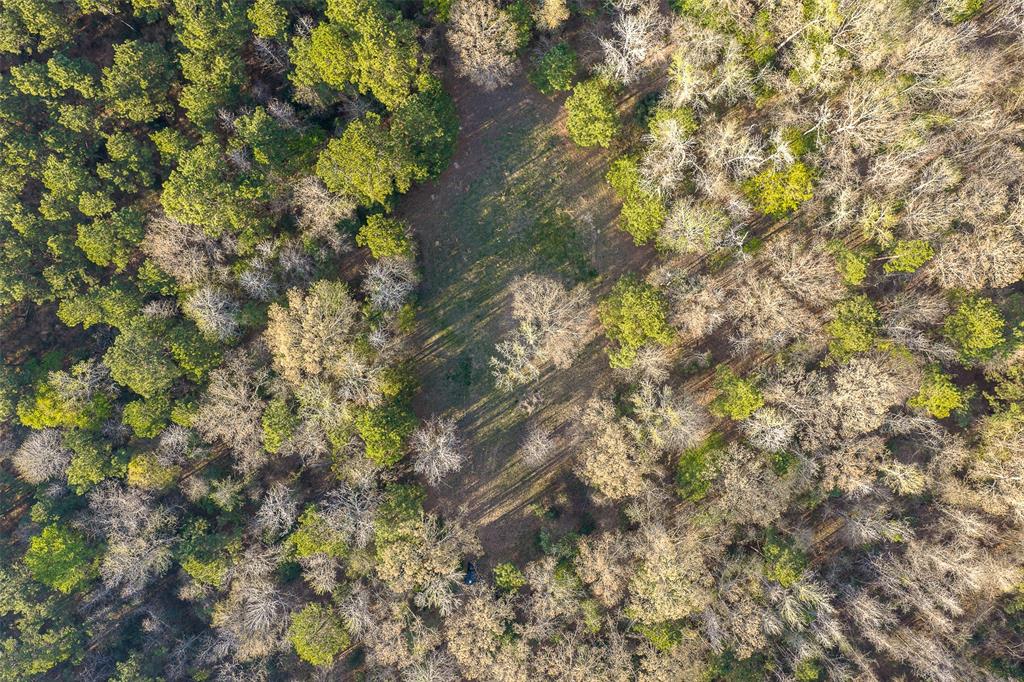 0 Off Of State Highway Rusk, TX 75785 - Photo 5 of 40