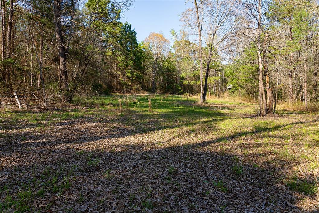 0 Off Of State Highway Rusk, TX 75785 - Photo 6 of 40