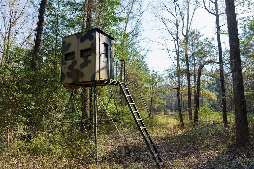 0 Off Of State Highway Rusk, TX 75785 - Photo 7 of 40