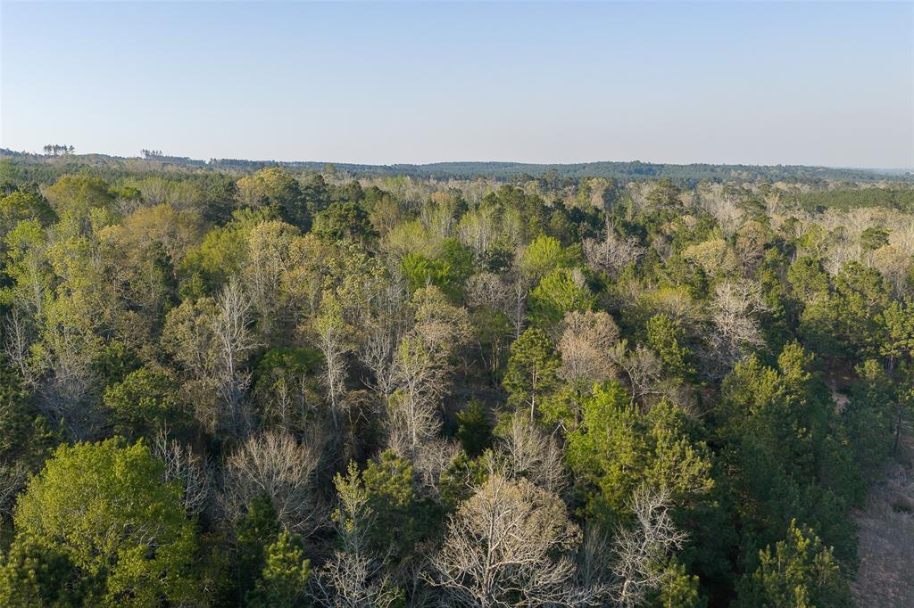 0 Off Of State Highway Rusk, TX 75785 - Photo 10 of 40
