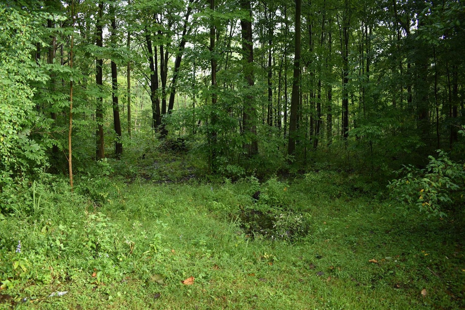 11393 Townsend Road Milan, MI 48160 - Photo 10 of 11 Photo 10
