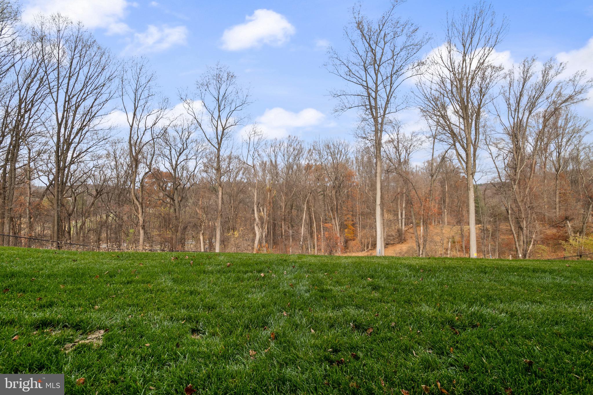 13806 Ridgeview Court Hunt Valley, MD 21030 - Photo 40 of 40