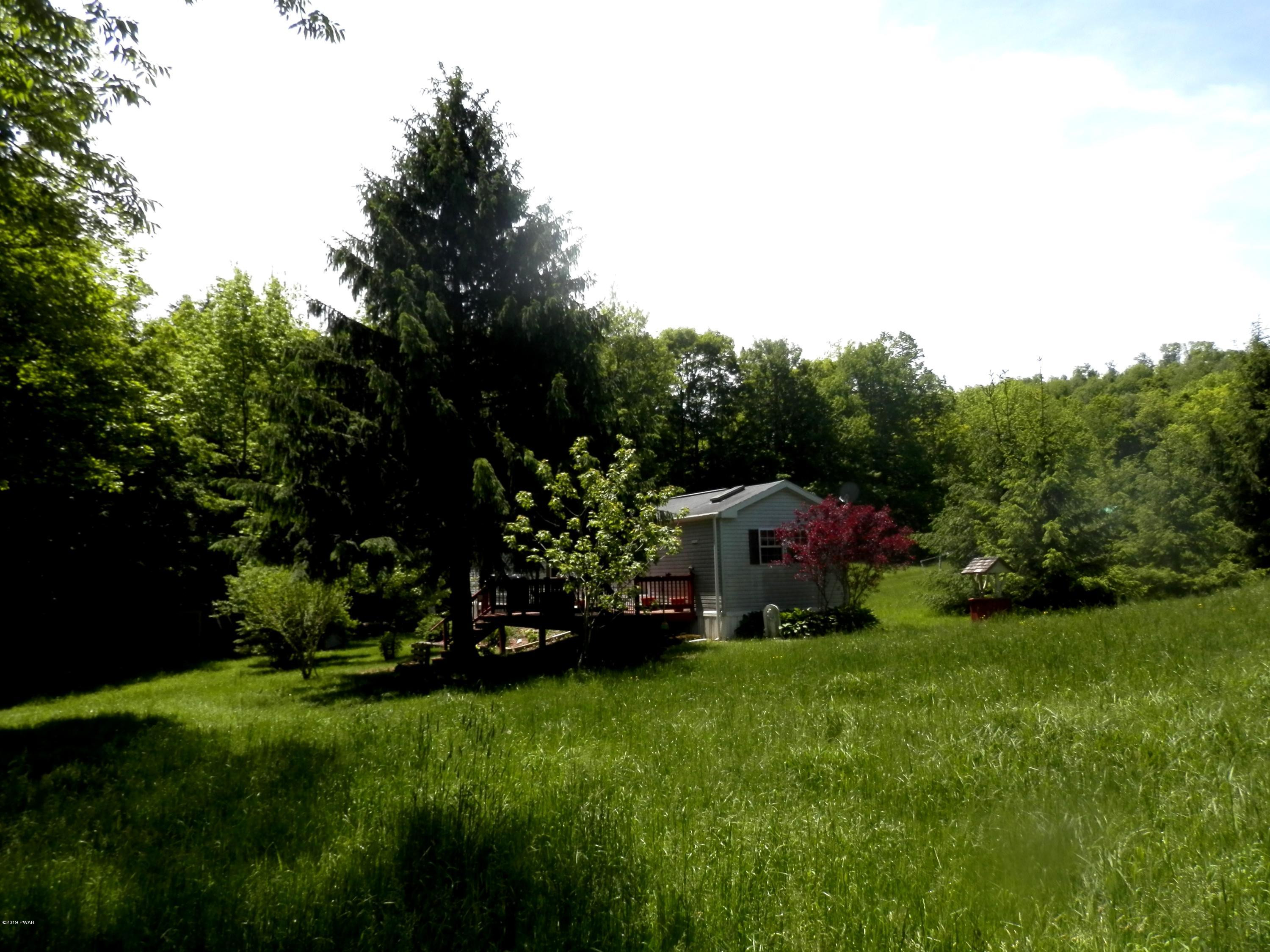 323 Daw Road Pleasant Mount, PA 18453 - Photo 2 of 18 Side View
