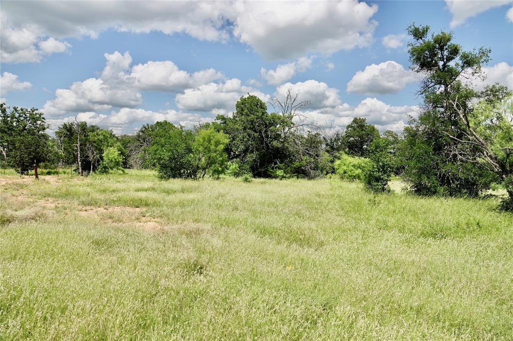 219 C R 550 Mullin, TX 76864 - Photo 27 of 37 a view of a garden