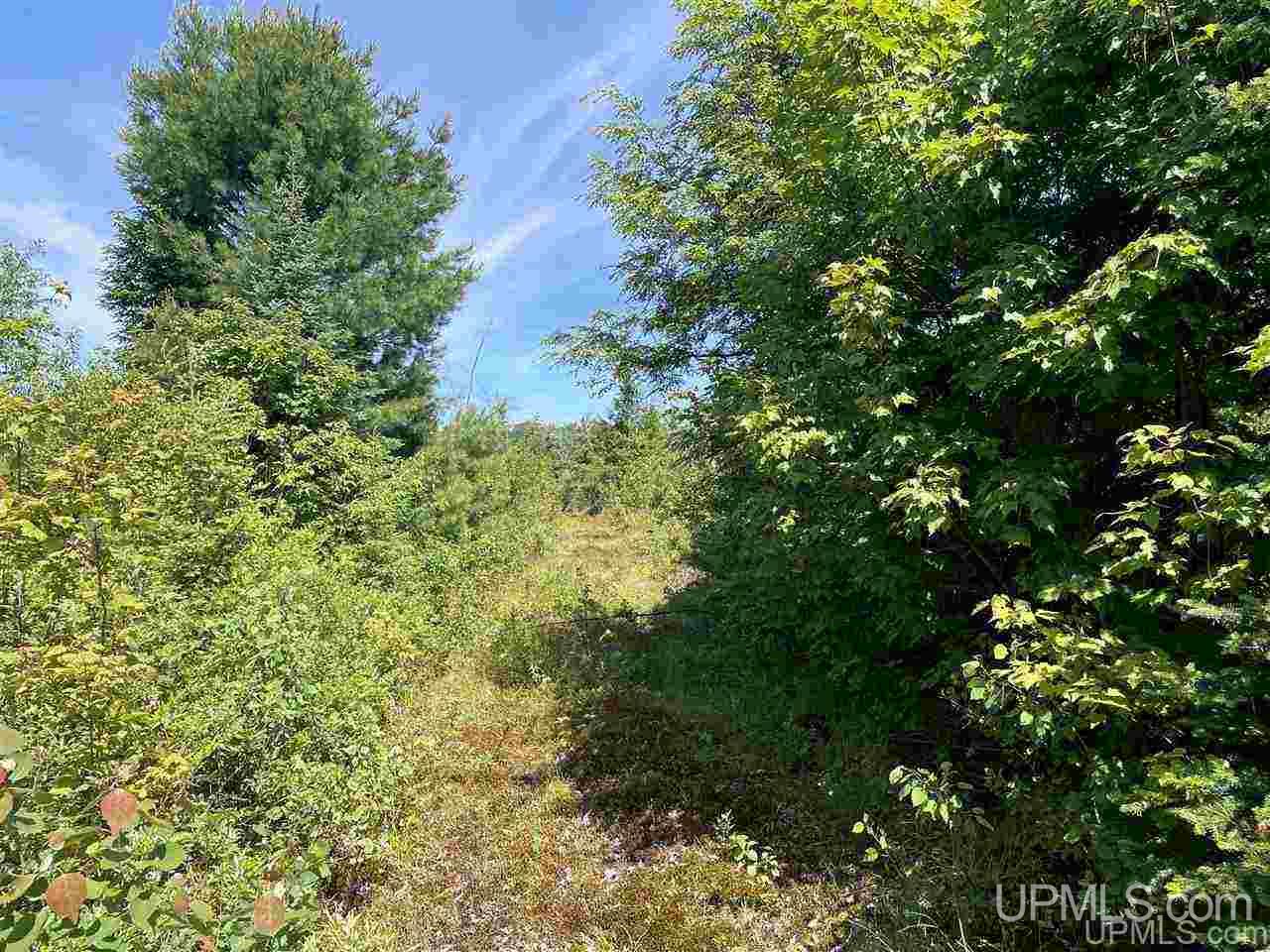 Tbd Off Cooks Lake Road, Unit 1 Wetmore, MI 49895 - Photo 10 of 19