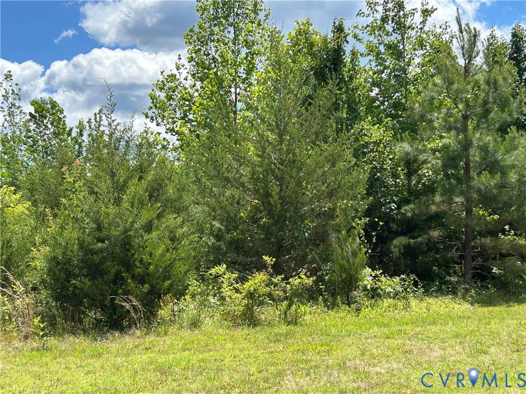 1380 Jasmine Road Goochland, VA 23063 - Photo 7 of 13 a view of a garden