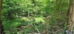 1380 Jasmine Road Goochland, VA 23063 - Photo 8 of 12 a view of a lush green space
