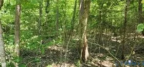 $135,000 | 1380 Jasmine Road, Goochland, VA 23063