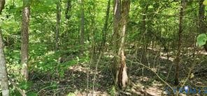 1380 Jasmine Road Goochland, VA 23063 - Photo 10 of 12