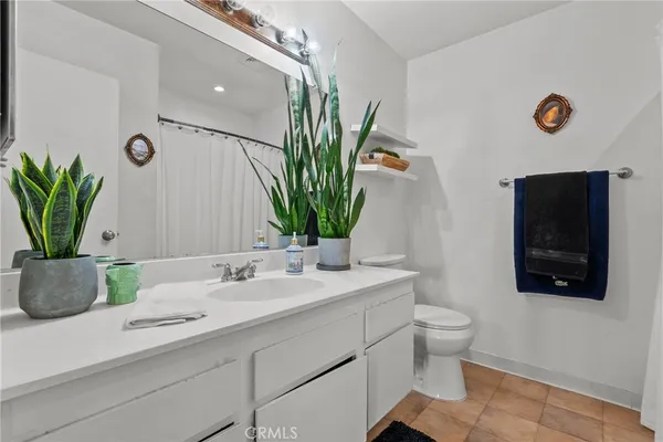 a bathroom with a potted plant on the counter and a sink