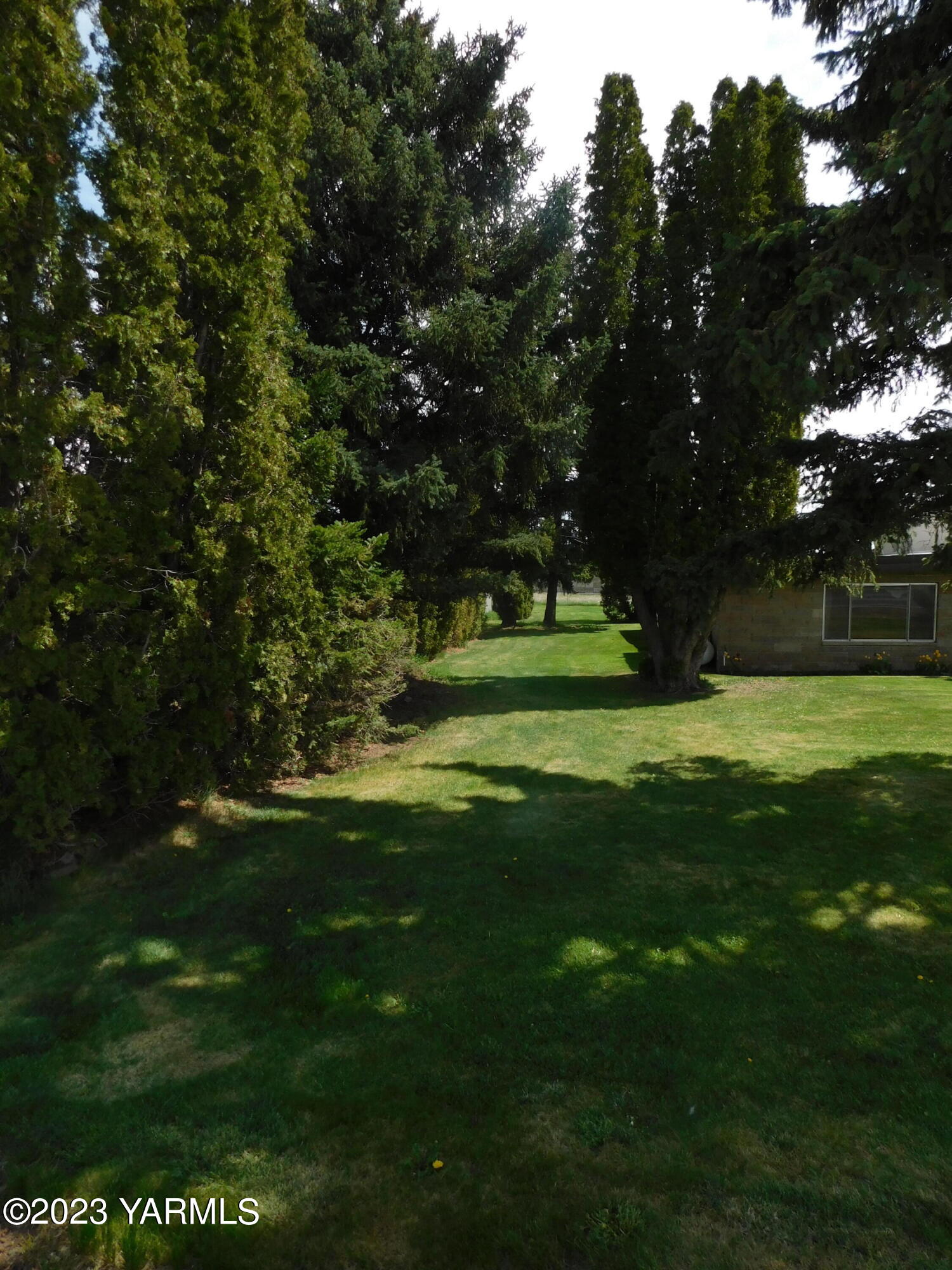 16851 Summitview Road Cowiche, WA 98923 - Photo 25 of 29 25-Side yard