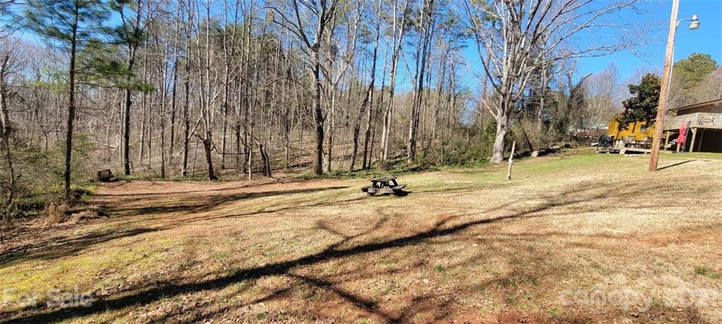 787 Cleghorn Mill Road Rutherfordton, NC 28139 - Photo 10 of 32