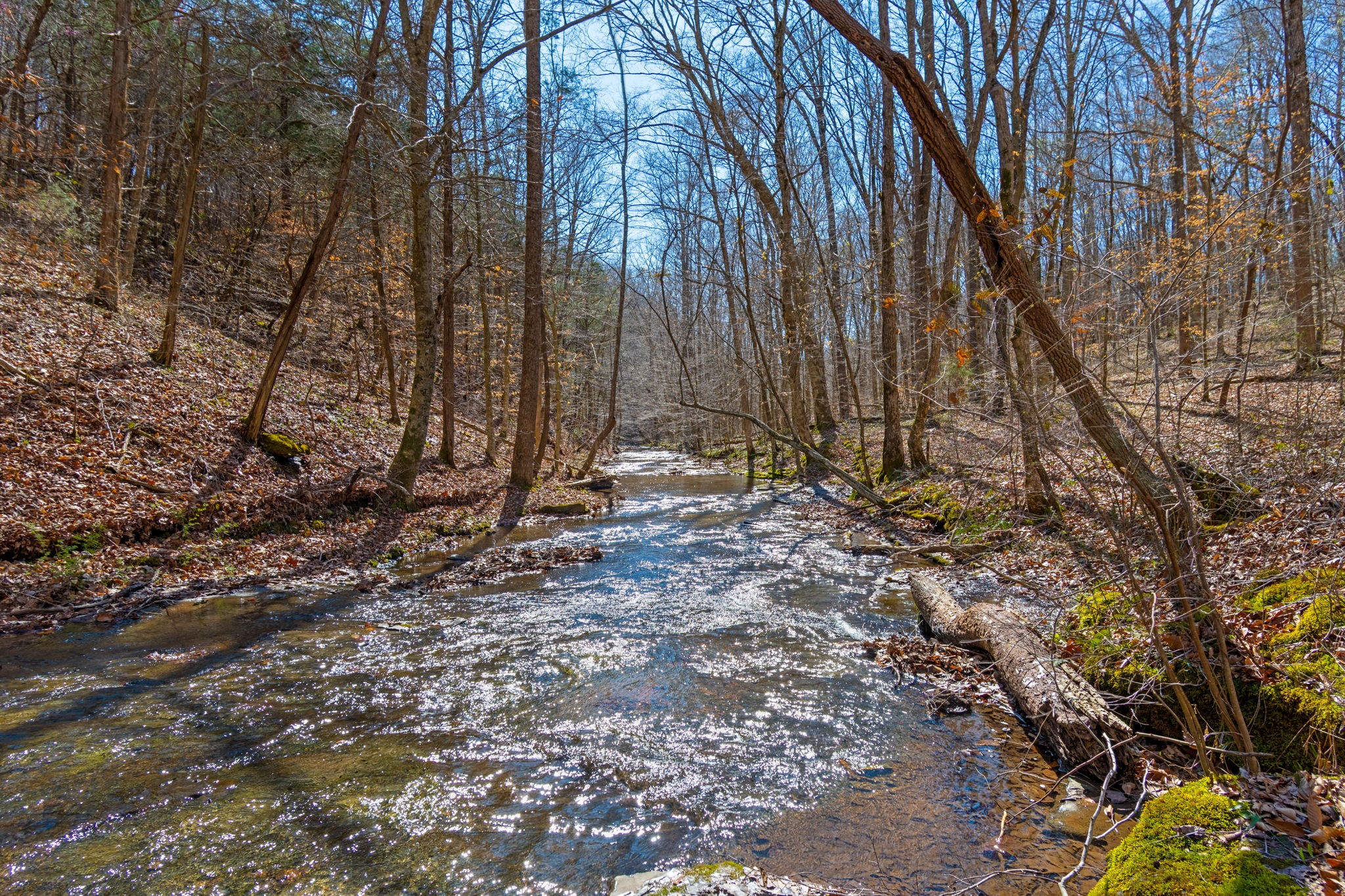 801 Collier Bend Road Charlotte, TN 37036 - Photo 2 of 84