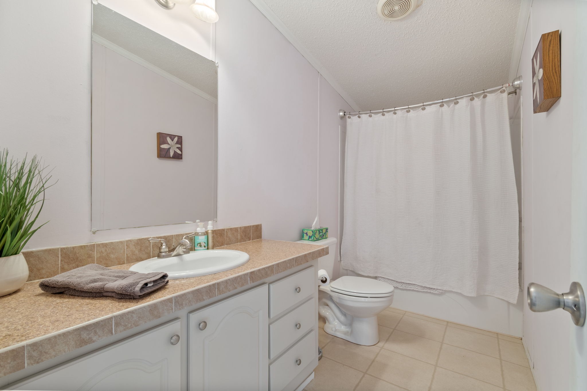 801 Collier Bend Road Charlotte, TN 37036 - Photo 27 of 100 a bathroom with a granite countertop sink a toilet and a mirror