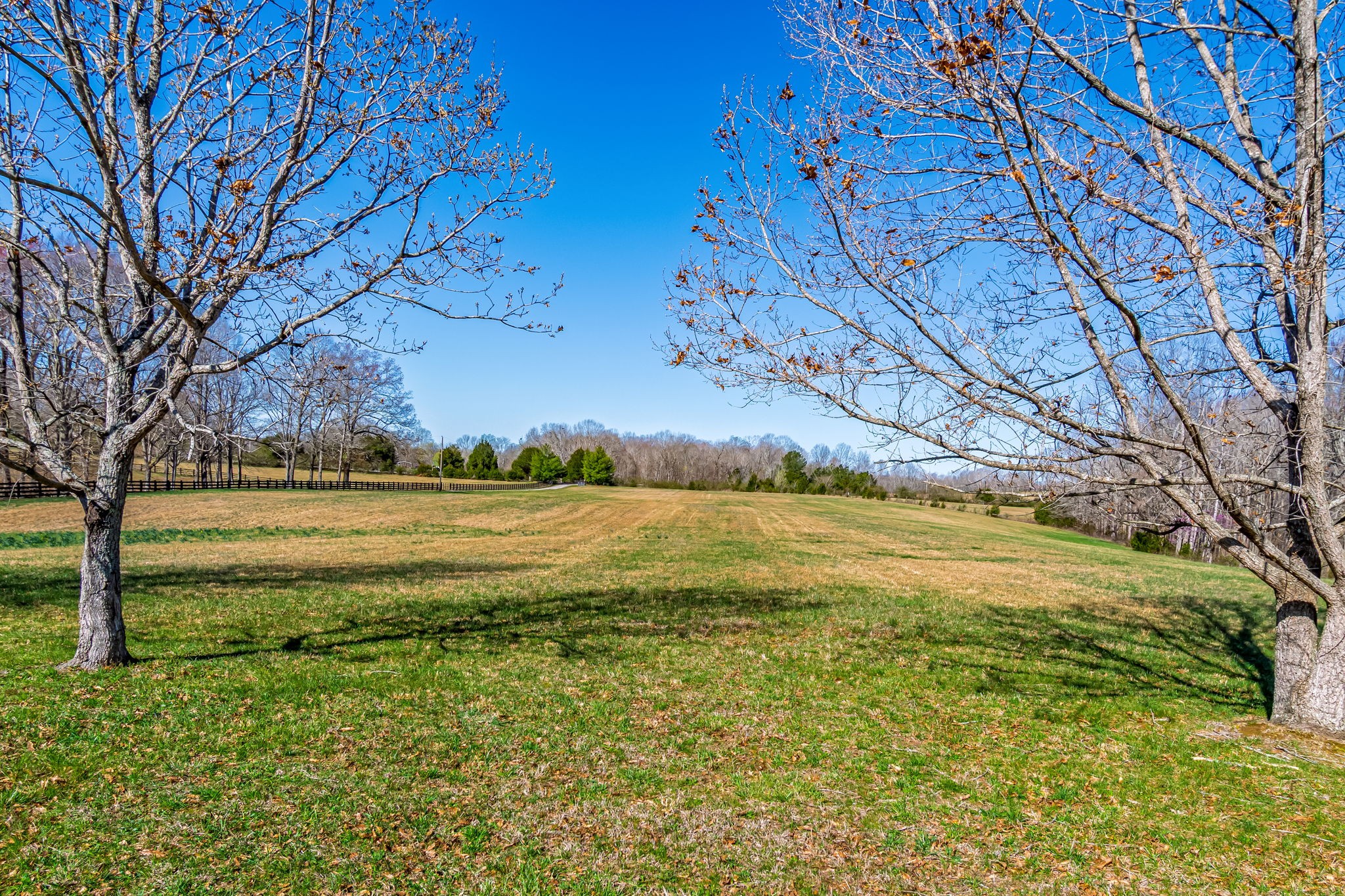 801 Collier Bend Road Charlotte, TN 37036 - Photo 29 of 84