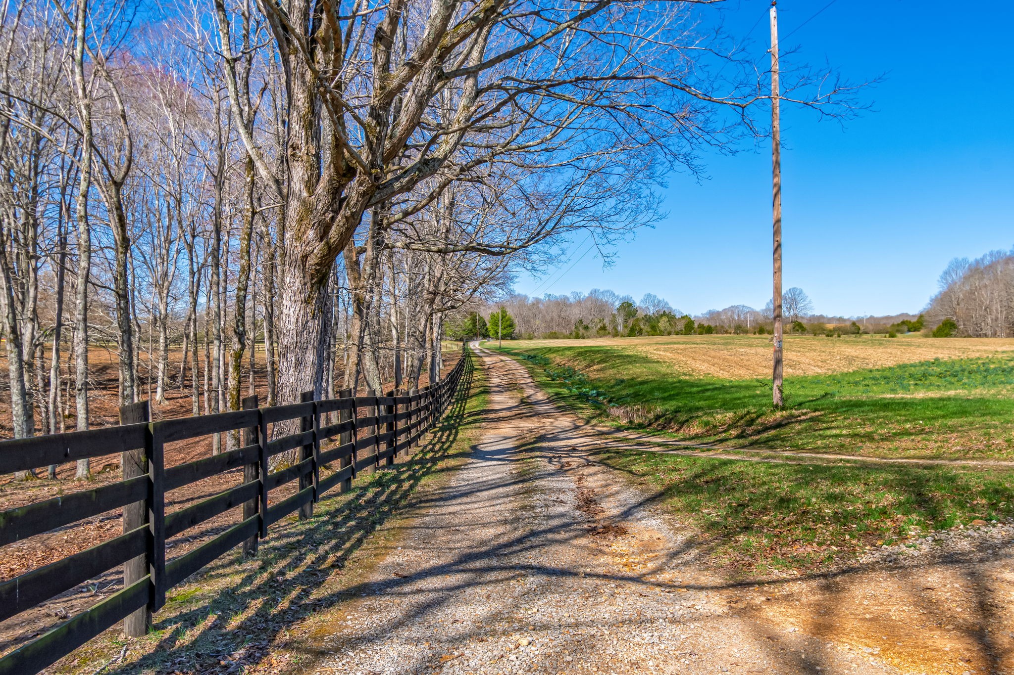 801 Collier Bend Road Charlotte, TN 37036 - Photo 34 of 84